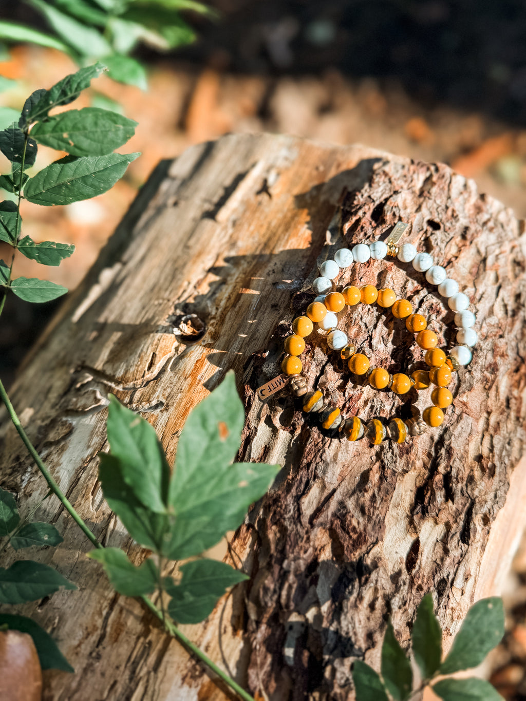 Golden Root | Mookaite + White Howlite